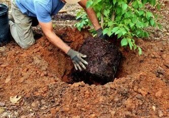 5 Fall Gardening To-Do's - Redeem Your Ground | RYGblog.com