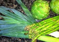 Creamy Asparagus & Roasted Artichoke Soup Recipe - Redeem Your Ground | RYGblog.com