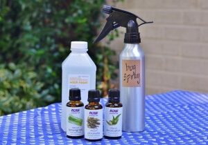 The Rhythm of Family...Natural Bug Spray - Redeem Your Ground | RYGblog.com & SouleMama.com