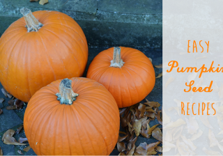 Easy Pumpkin Seed Recipes - Redeem Your Ground | RYGblog.com