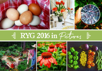 RYG 2016 Year In Review - Redeem Your Ground | RYGblog.com
