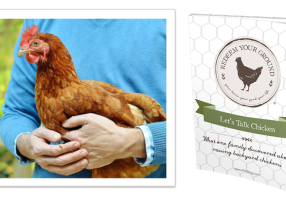 RYG Chicken eBook - Redeem Your Ground | RYGblog.com "Let's Talk Chicken: What one family discovered about raising backyard chickens"